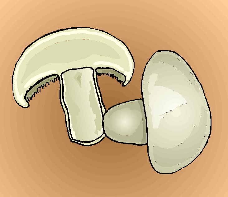 Fungi- Microsoft Clip Art